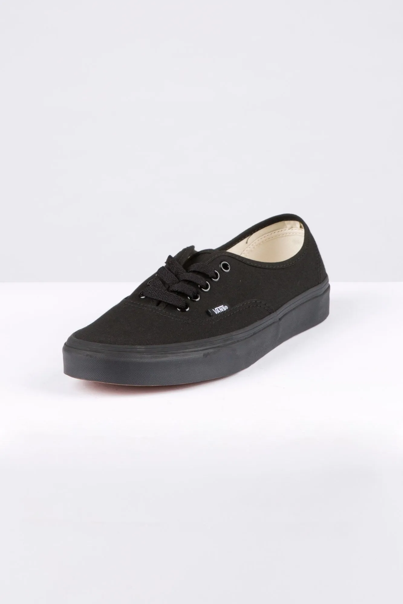 Vans Guys Black On Black Authentic Shoes